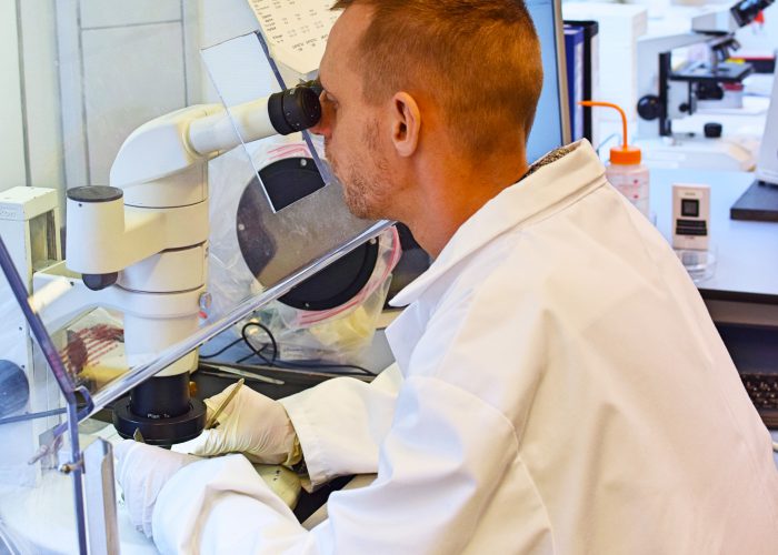 Laboratorium · Binnendienst